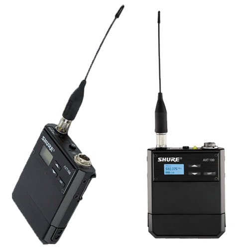 axt1006